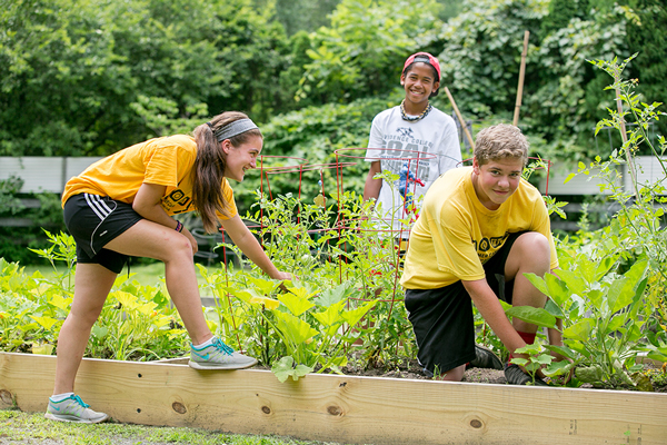 Community Gardens